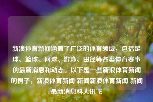 新浪体育新闻涵盖了广泛的体育领域，包括足球、篮球、网球、游泳、田径等各类体育赛事的最新消息和动态。以下是一些新浪体育新闻的例子，新浪体育新闻 新闻新浪体育新闻 新闻最新消息科大讯飞-第1张图片-体育新闻