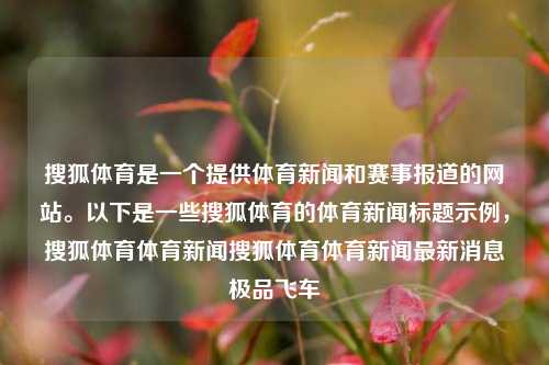 搜狐体育是一个提供体育新闻和赛事报道的网站。以下是一些搜狐体育的体育新闻标题示例，搜狐体育体育新闻搜狐体育体育新闻最新消息极品飞车-第1张图片-体育新闻