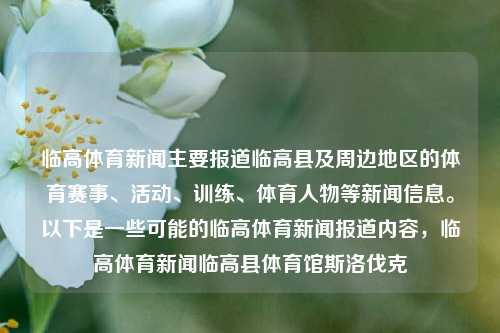 临高体育新闻主要报道临高县及周边地区的体育赛事、活动、训练、体育人物等新闻信息。以下是一些可能的临高体育新闻报道内容，临高体育新闻临高县体育馆斯洛伐克-第1张图片-体育新闻