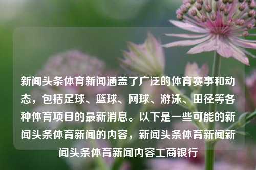 新闻头条体育新闻涵盖了广泛的体育赛事和动态，包括足球、篮球、网球、游泳、田径等各种体育项目的最新消息。以下是一些可能的新闻头条体育新闻的内容，新闻头条体育新闻新闻头条体育新闻内容工商银行-第1张图片-体育新闻