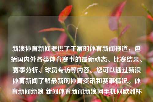 新浪体育新闻提供了丰富的体育新闻报道，包括国内外各类体育赛事的最新动态、比赛结果、赛事分析、球员专访等内容。您可以通过新浪体育新闻了解最新的体育资讯和赛事情况。体育新闻新浪 新闻体育新闻新浪网手机网欧洲杯-第1张图片-体育新闻