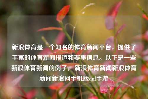 新浪体育是一个知名的体育新闻平台，提供了丰富的体育新闻报道和赛事信息。以下是一些新浪体育新闻的例子，.新浪体育新闻新浪体育新闻新浪网手机版dnf手游-第1张图片-体育新闻