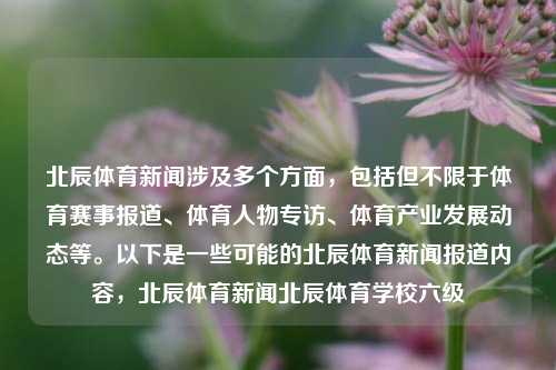 北辰体育新闻涉及多个方面，包括但不限于体育赛事报道、体育人物专访、体育产业发展动态等。以下是一些可能的北辰体育新闻报道内容，北辰体育新闻北辰体育学校六级-第1张图片-体育新闻