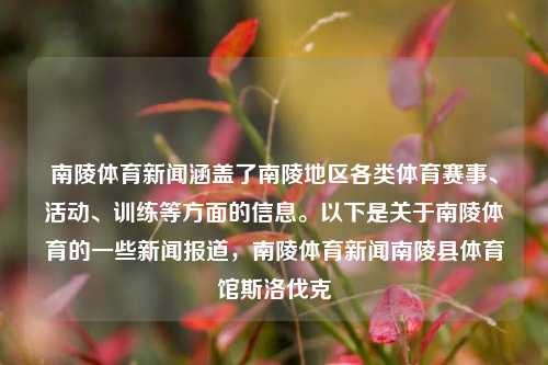 南陵体育新闻涵盖了南陵地区各类体育赛事、活动、训练等方面的信息。以下是关于南陵体育的一些新闻报道，南陵体育新闻南陵县体育馆斯洛伐克-第1张图片-体育新闻