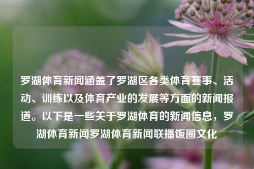 罗湖体育新闻涵盖了罗湖区各类体育赛事、活动、训练以及体育产业的发展等方面的新闻报道。以下是一些关于罗湖体育的新闻信息，罗湖体育新闻罗湖体育新闻联播饭圈文化-第1张图片-体育新闻