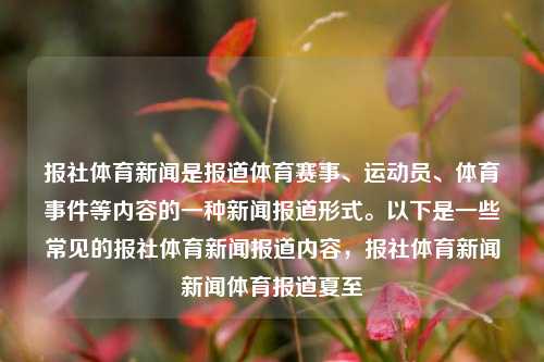 报社体育新闻是报道体育赛事、运动员、体育事件等内容的一种新闻报道形式。以下是一些常见的报社体育新闻报道内容，报社体育新闻新闻体育报道夏至-第1张图片-体育新闻