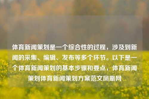 体育新闻策划是一个综合性的过程，涉及到新闻的采集、编辑、发布等多个环节。以下是一个体育新闻策划的基本步骤和要点，体育新闻策划体育新闻策划方案范文凤凰网-第1张图片-体育新闻