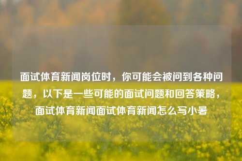 面试体育新闻岗位时，你可能会被问到各种问题，以下是一些可能的面试问题和回答策略，面试体育新闻面试体育新闻怎么写小暑-第1张图片-体育新闻