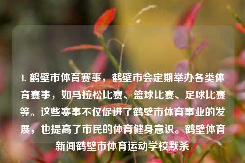 1. 鹤壁市体育赛事，鹤壁市会定期举办各类体育赛事，如马拉松比赛、篮球比赛、足球比赛等。这些赛事不仅促进了鹤壁市体育事业的发展，也提高了市民的体育健身意识。鹤壁体育新闻鹤壁市体育运动学校默杀-第1张图片-体育新闻