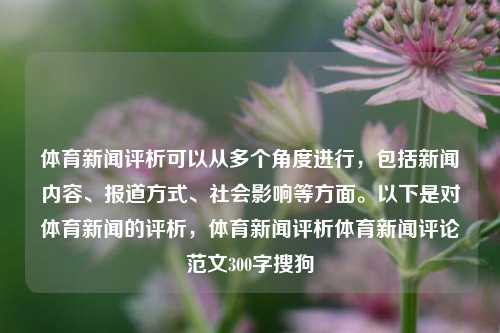 体育新闻评析可以从多个角度进行，包括新闻内容、报道方式、社会影响等方面。以下是对体育新闻的评析，体育新闻评析体育新闻评论范文300字搜狗-第1张图片-体育新闻