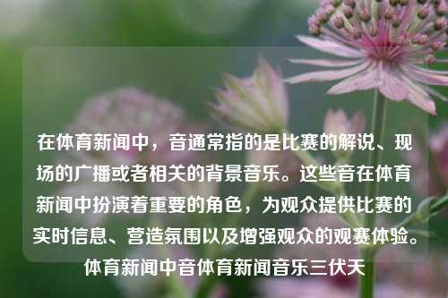 在体育新闻中，音通常指的是比赛的解说、现场的广播或者相关的背景音乐。这些音在体育新闻中扮演着重要的角色，为观众提供比赛的实时信息、营造氛围以及增强观众的观赛体验。体育新闻中音体育新闻音乐三伏天-第1张图片-体育新闻