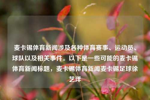 麦卡锡体育新闻涉及各种体育赛事、运动员、球队以及相关事件。以下是一些可能的麦卡锡体育新闻标题，麦卡锡体育新闻麦卡锡足球徐艺洋-第1张图片-体育新闻