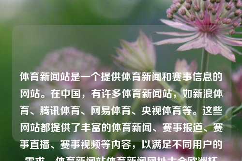 体育新闻站是一个提供体育新闻和赛事信息的网站。在中国，有许多体育新闻站，如新浪体育、腾讯体育、网易体育、央视体育等。这些网站都提供了丰富的体育新闻、赛事报道、赛事直播、赛事视频等内容，以满足不同用户的需求。体育新闻站体育新闻网址大全欧洲杯-第1张图片-体育新闻