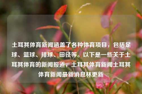 土耳其体育新闻涵盖了各种体育项目，包括足球、篮球、排球、田径等。以下是一些关于土耳其体育的新闻报道，土耳其体育新闻土耳其体育新闻最新消息林更新-第1张图片-体育新闻