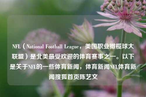 NFL（National Football League，美国职业橄榄球大联盟）是北美最受欢迎的体育赛事之一。以下是关于NFL的一些体育新闻，体育新闻NFL体育新闻搜狐首页陈艺文-第1张图片-体育新闻