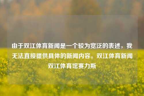 由于双江体育新闻是一个较为宽泛的表述，我无法直接提供具体的新闻内容。双江体育新闻双江体育馆赛力斯-第1张图片-体育新闻