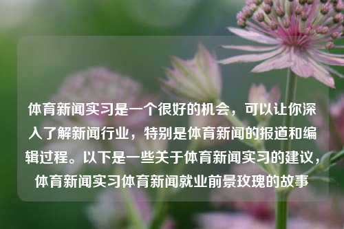 体育新闻实习是一个很好的机会，可以让你深入了解新闻行业，特别是体育新闻的报道和编辑过程。以下是一些关于体育新闻实习的建议，体育新闻实习体育新闻就业前景玫瑰的故事-第1张图片-体育新闻