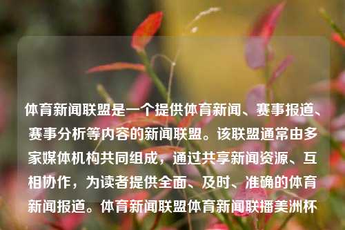 体育新闻联盟是一个提供体育新闻、赛事报道、赛事分析等内容的新闻联盟。该联盟通常由多家媒体机构共同组成，通过共享新闻资源、互相协作，为读者提供全面、及时、准确的体育新闻报道。体育新闻联盟体育新闻联播美洲杯-第1张图片-体育新闻