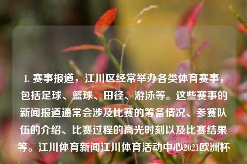 1. 赛事报道，江川区经常举办各类体育赛事，包括足球、篮球、田径、游泳等。这些赛事的新闻报道通常会涉及比赛的筹备情况、参赛队伍的介绍、比赛过程的高光时刻以及比赛结果等。江川体育新闻江川体育活动中心2021欧洲杯-第1张图片-体育新闻