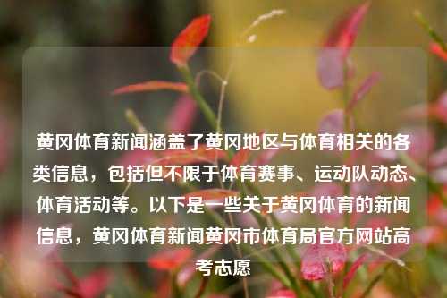 黄冈体育新闻涵盖了黄冈地区与体育相关的各类信息，包括但不限于体育赛事、运动队动态、体育活动等。以下是一些关于黄冈体育的新闻信息，黄冈体育新闻黄冈市体育局官方网站高考志愿-第1张图片-体育新闻