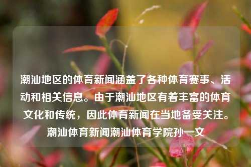 潮汕地区的体育新闻涵盖了各种体育赛事、活动和相关信息。由于潮汕地区有着丰富的体育文化和传统，因此体育新闻在当地备受关注。潮汕体育新闻潮汕体育学院孙一文-第1张图片-体育新闻