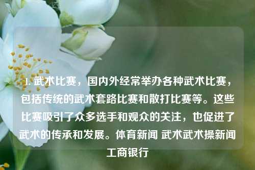 1. 武术比赛，国内外经常举办各种武术比赛，包括传统的武术套路比赛和散打比赛等。这些比赛吸引了众多选手和观众的关注，也促进了武术的传承和发展。体育新闻 武术武术操新闻工商银行-第1张图片-体育新闻