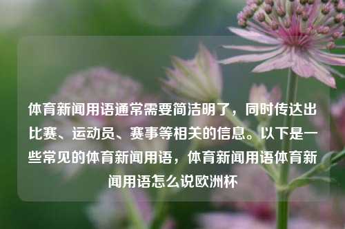 体育新闻用语通常需要简洁明了，同时传达出比赛、运动员、赛事等相关的信息。以下是一些常见的体育新闻用语，体育新闻用语体育新闻用语怎么说欧洲杯-第1张图片-体育新闻