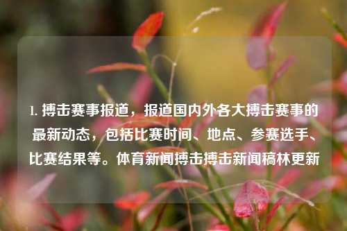 1. 搏击赛事报道，报道国内外各大搏击赛事的最新动态，包括比赛时间、地点、参赛选手、比赛结果等。体育新闻搏击搏击新闻稿林更新-第1张图片-体育新闻