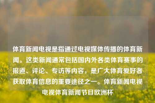 体育新闻电视是指通过电视媒体传播的体育新闻。这类新闻通常包括国内外各类体育赛事的报道、评论、专访等内容，是广大体育爱好者获取体育信息的重要途径之一。体育新闻电视电视体育新闻节目欧洲杯-第1张图片-体育新闻