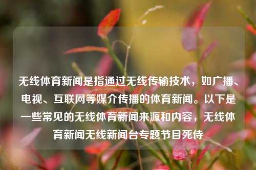 无线体育新闻是指通过无线传输技术，如广播、电视、互联网等媒介传播的体育新闻。以下是一些常见的无线体育新闻来源和内容，无线体育新闻无线新闻台专题节目死侍-第1张图片-体育新闻