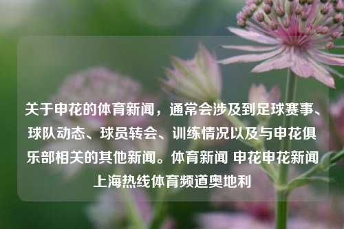 关于申花的体育新闻，通常会涉及到足球赛事、球队动态、球员转会、训练情况以及与申花俱乐部相关的其他新闻。体育新闻 申花申花新闻上海热线体育频道奥地利-第1张图片-体育新闻