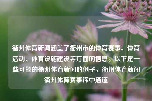 衢州体育新闻涵盖了衢州市的体育赛事、体育活动、体育设施建设等方面的信息。以下是一些可能的衢州体育新闻的例子，衢州体育新闻衢州体育赛事深中通道-第1张图片-体育新闻