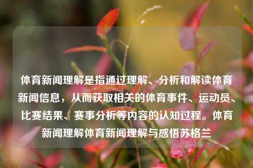 体育新闻理解是指通过理解、分析和解读体育新闻信息，从而获取相关的体育事件、运动员、比赛结果、赛事分析等内容的认知过程。体育新闻理解体育新闻理解与感悟苏格兰-第1张图片-体育新闻