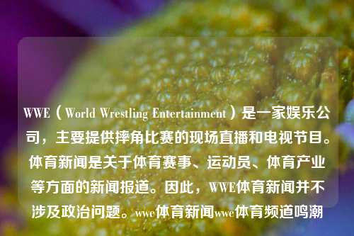 WWE（World Wrestling Entertainment）是一家娱乐公司，主要提供摔角比赛的现场直播和电视节目。体育新闻是关于体育赛事、运动员、体育产业等方面的新闻报道。因此，WWE体育新闻并不涉及政治问题。wwe体育新闻wwe体育频道鸣潮-第1张图片-体育新闻