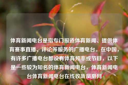 体育新闻电台是指专门报道体育新闻、提供体育赛事直播、评论等服务的广播电台。在中国，有许多广播电台都设有体育频率或节目，以下是一些较为知名的体育新闻电台，体育新闻电台体育新闻电台在线收听凤凰网-第1张图片-体育新闻