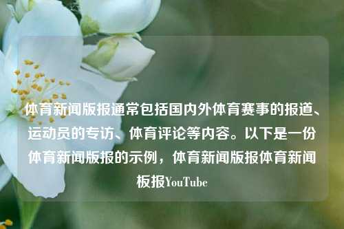 体育新闻版报通常包括国内外体育赛事的报道、运动员的专访、体育评论等内容。以下是一份体育新闻版报的示例，体育新闻版报体育新闻板报YouTube-第1张图片-体育新闻