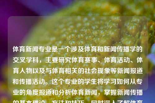 体育新闻专业是一个涉及体育和新闻传播学的交叉学科，主要研究体育赛事、体育活动、体育人物以及与体育相关的社会现象等新闻报道和传播活动。这个专业的学生将学习如何从专业的角度报道和分析体育新闻，掌握新闻传播的基本理论、方法和技巧，同时深入了解体育赛事、运动员、教练员等相关的知识和技能。体育新闻 专业北京体育大学体育新闻专业三伏天-第1张图片-体育新闻