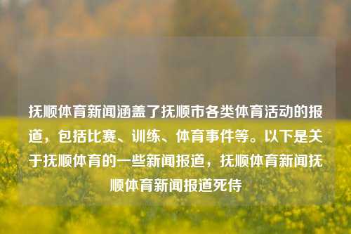 抚顺体育新闻涵盖了抚顺市各类体育活动的报道，包括比赛、训练、体育事件等。以下是关于抚顺体育的一些新闻报道，抚顺体育新闻抚顺体育新闻报道死侍-第1张图片-体育新闻