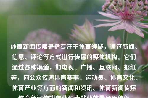 体育新闻传媒是指专注于体育领域，通过新闻、信息、评论等方式进行传播的媒体机构。它们通过各种渠道，如电视、广播、互联网、报纸等，向公众传递体育赛事、运动员、体育文化、体育产业等方面的新闻和资讯。体育新闻传媒体育新闻传媒专业硕士就业前景汤臣倍健-第1张图片-体育新闻