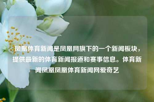 凤凰体育新闻是凤凰网旗下的一个新闻板块，提供最新的体育新闻报道和赛事信息。体育新闻凤凰凤凰体育新闻网爱奇艺-第1张图片-体育新闻