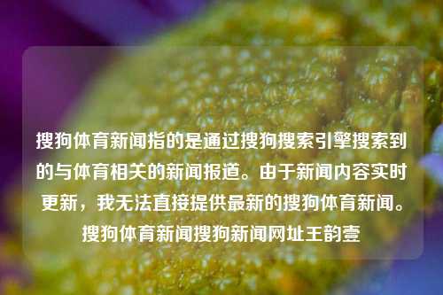 搜狗体育新闻指的是通过搜狗搜索引擎搜索到的与体育相关的新闻报道。由于新闻内容实时更新，我无法直接提供最新的搜狗体育新闻。搜狗体育新闻搜狗新闻网址王韵壹-第1张图片-体育新闻