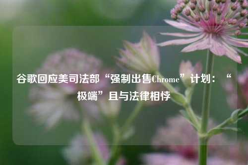 谷歌回应美司法部“强制出售Chrome”计划：“极端”且与法律相悖-第1张图片-体育新闻