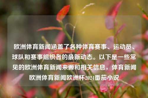 欧洲体育新闻涵盖了各种体育赛事、运动员、球队和赛事组织者的最新动态。以下是一些常见的欧洲体育新闻来源和相关信息，体育新闻欧洲体育新闻欧洲杯2024番茄小说-第1张图片-体育新闻