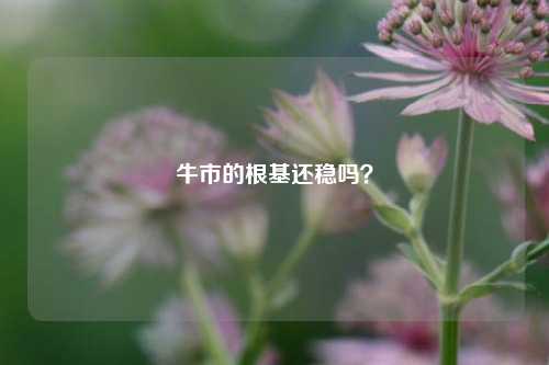 牛市的根基还稳吗？-第1张图片-体育新闻