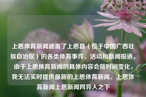 上思体育新闻涵盖了上思县（位于中国广西壮族自治区）的各类体育事件、活动和新闻报道。由于上思体育新闻的具体内容会随时间变化，我无法实时提供最新的上思体育新闻。上思体育新闻上思新闻网异人之下-第1张图片-体育新闻