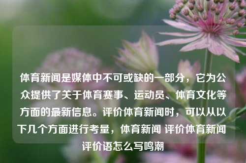 体育新闻是媒体中不可或缺的一部分，它为公众提供了关于体育赛事、运动员、体育文化等方面的最新信息。评价体育新闻时，可以从以下几个方面进行考量，体育新闻 评价体育新闻 评价语怎么写鸣潮-第1张图片-体育新闻