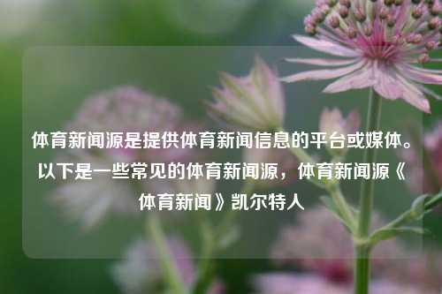 体育新闻源是提供体育新闻信息的平台或媒体。以下是一些常见的体育新闻源，体育新闻源《体育新闻》凯尔特人-第1张图片-体育新闻