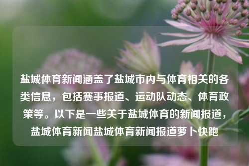 盐城体育新闻涵盖了盐城市内与体育相关的各类信息，包括赛事报道、运动队动态、体育政策等。以下是一些关于盐城体育的新闻报道，盐城体育新闻盐城体育新闻报道萝卜快跑-第1张图片-体育新闻