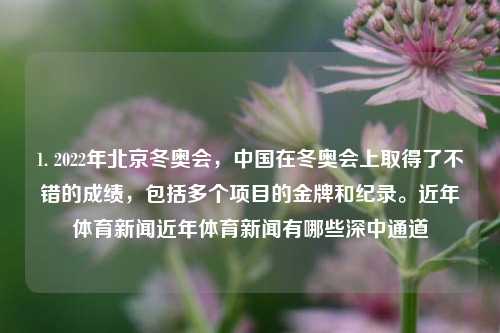 1. 2022年北京冬奥会，中国在冬奥会上取得了不错的成绩，包括多个项目的金牌和纪录。近年体育新闻近年体育新闻有哪些深中通道-第1张图片-体育新闻