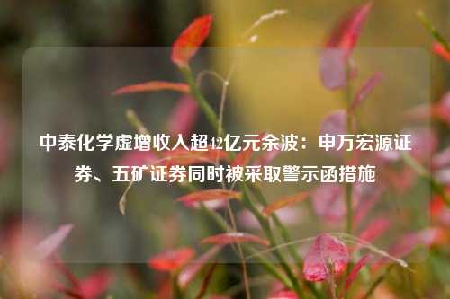 中泰化学虚增收入超42亿元余波：申万宏源证券、五矿证券同时被采取警示函措施-第1张图片-体育新闻